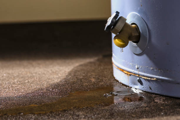 Best Professional water damage repair  in Wellington, FL