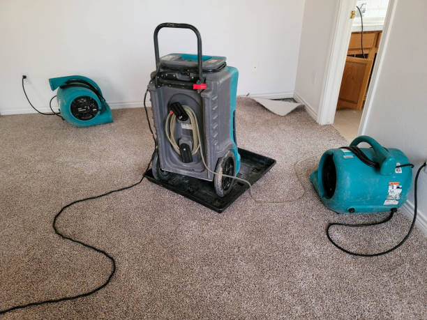 Best Emergency water damage restoration  in Wellington, FL