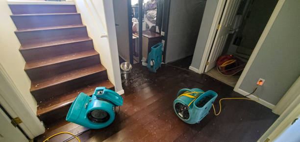 Best Residential water damage restoration  in Wellington, FL