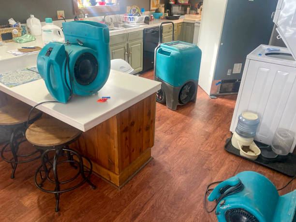 Best Emergency water damage restoration  in Wellington, FL