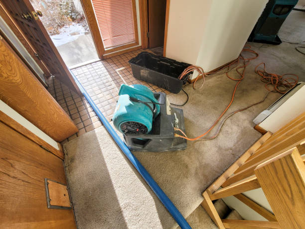 Wellington, FL Water damage restoration Pros