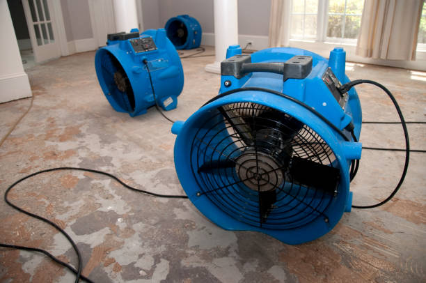 Best Water damage cleanup near me  in Wellington, FL