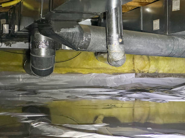 Best Water damage restoration process  in Wellington, FL