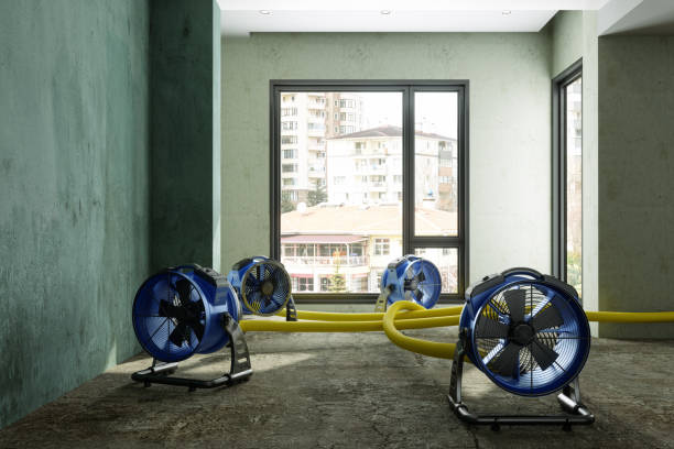 Best Water damage restoration near me  in Wellington, FL