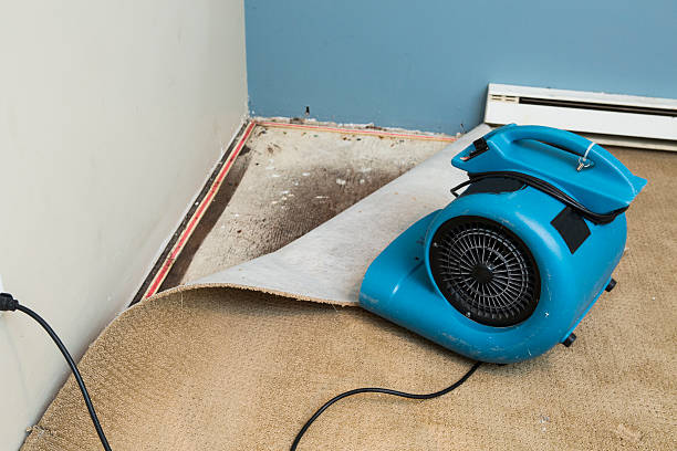 Best Water damage restoration specialists  in Wellington, FL